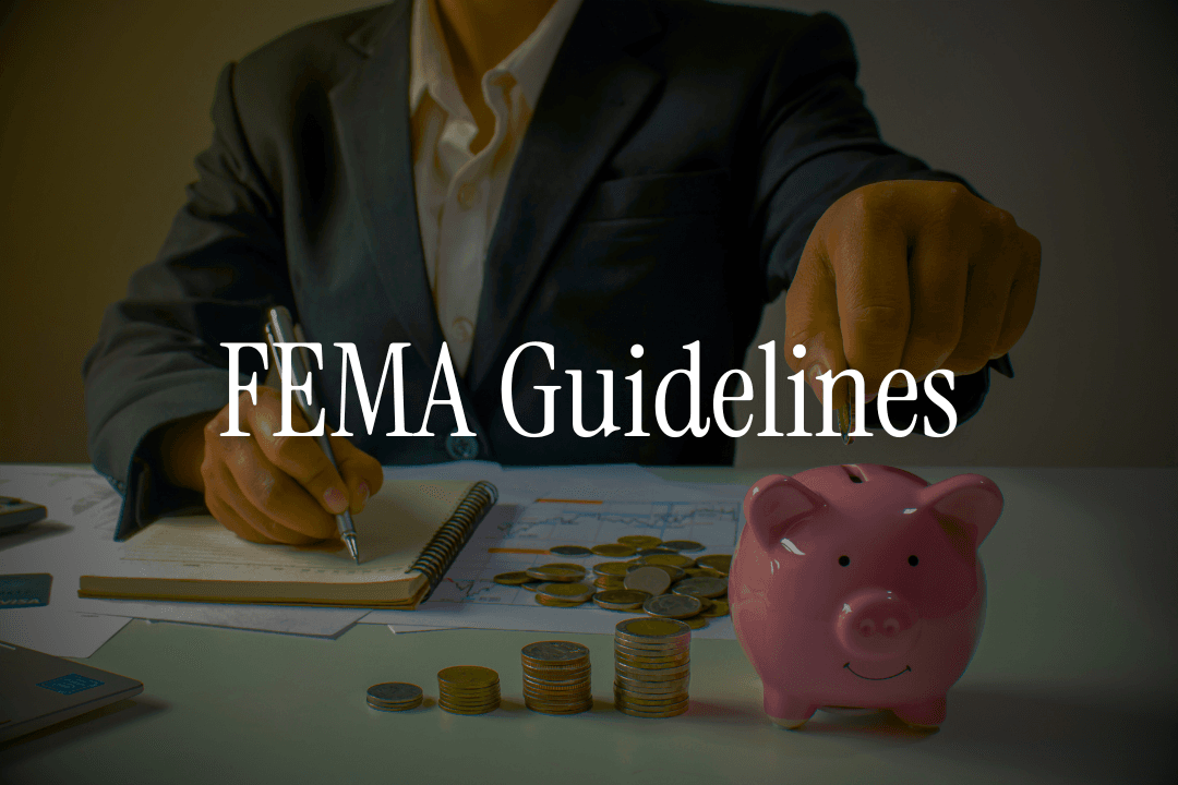 FEMA Guidelines for NRIs