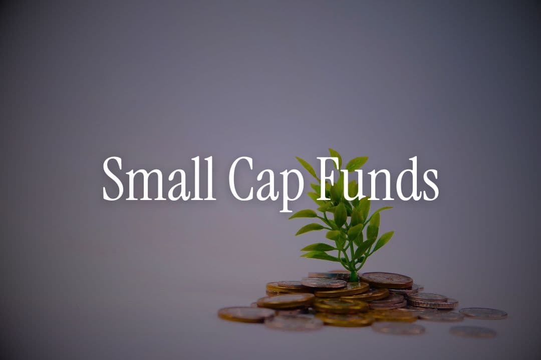Small Cap Funds