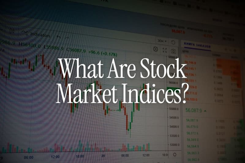 What Are Stock Market Indices? Beginner Guide for NRIs