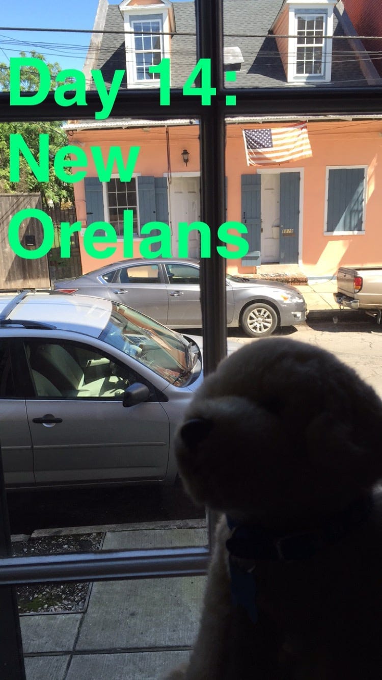 Day 14 // 4/19/2015 // New Orleans