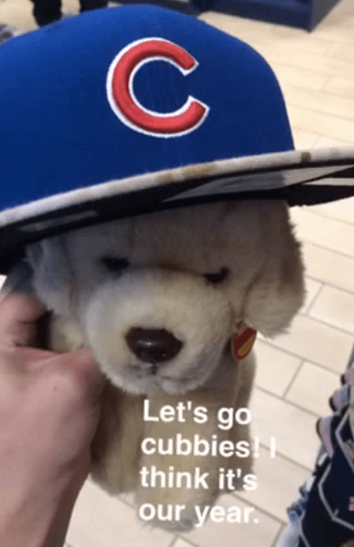 Day 50 // 5/25/2015 // Chicago, IL