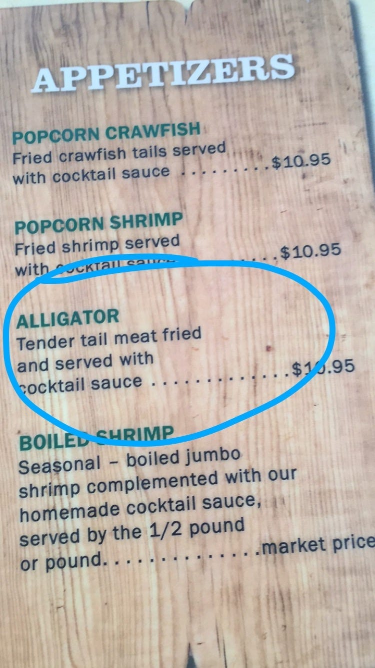 Day 16 // 4/21/2015 // New Orleans