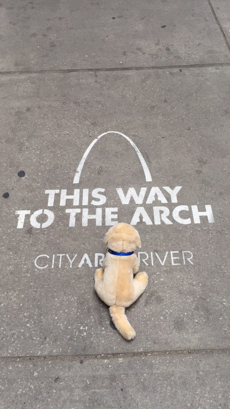 Day 56 // 5/31/2015 // Litchfield, Illinois → St. Louis, Missouri