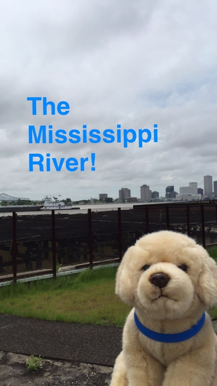 Day 13 // 4/18/2015 // New Orleans