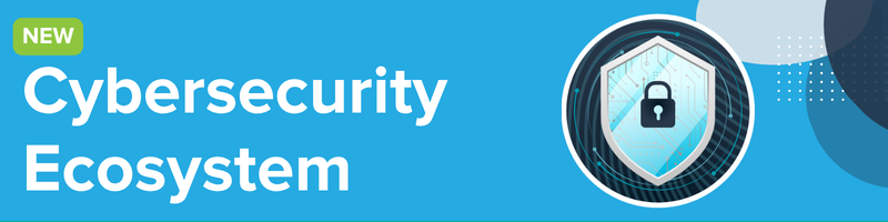 Cybersecurity Ecosystem