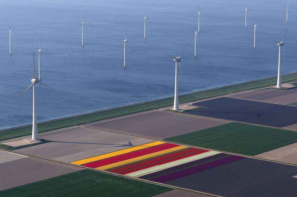Dutch wind farm blows away opposition as ‘new millers’ get a stake