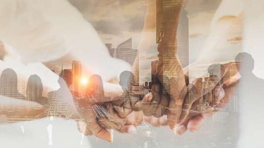 Importance of Transparency and Connections in Business