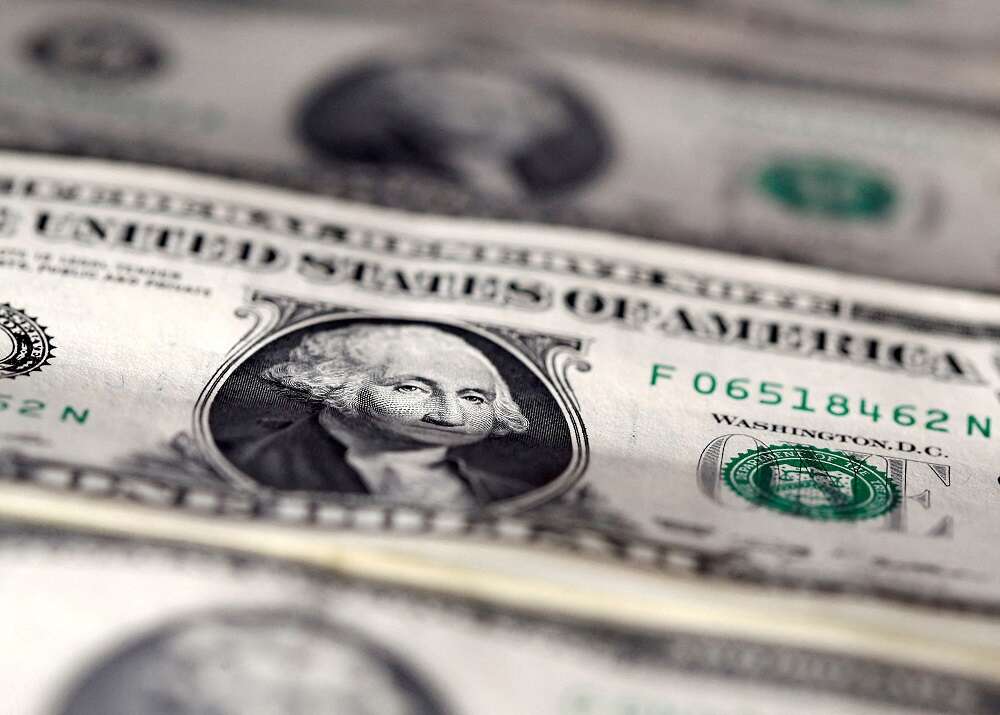 U.S. dollar rallies to more than 2-year hike on steep Fed rate hike outlook