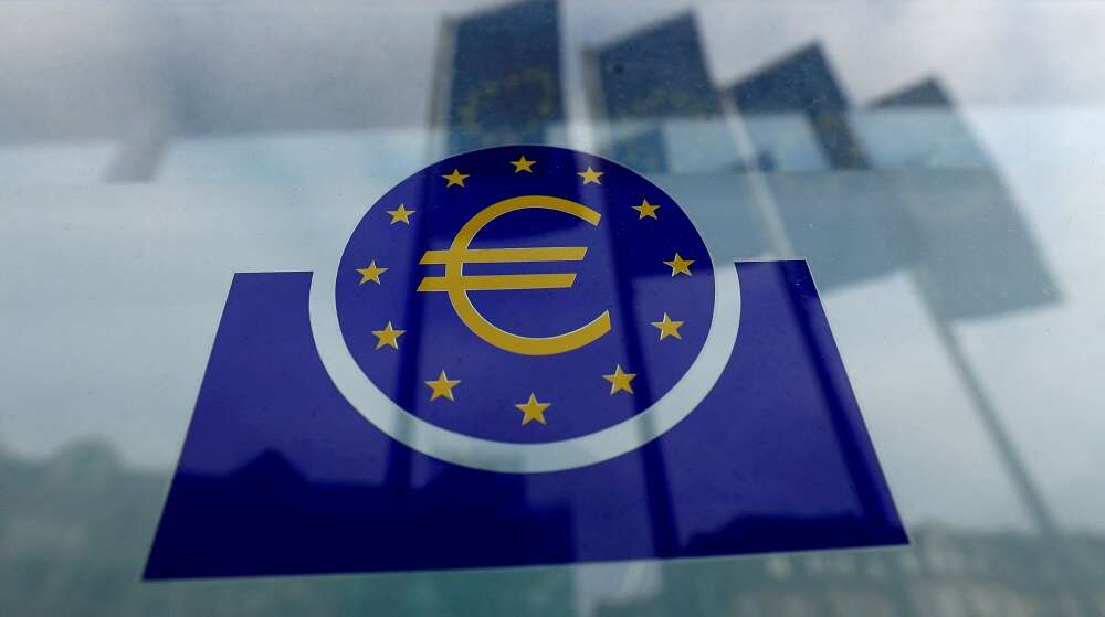 ECB should raise rates at steady pace, chief economist says