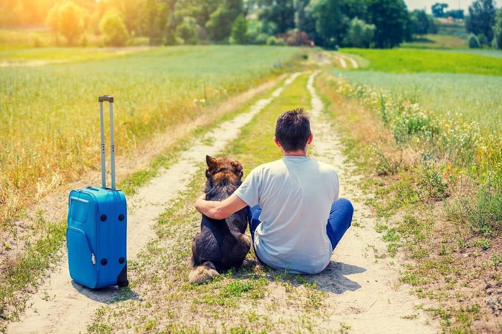 How to Travel Safely with Your Pet on Holiday