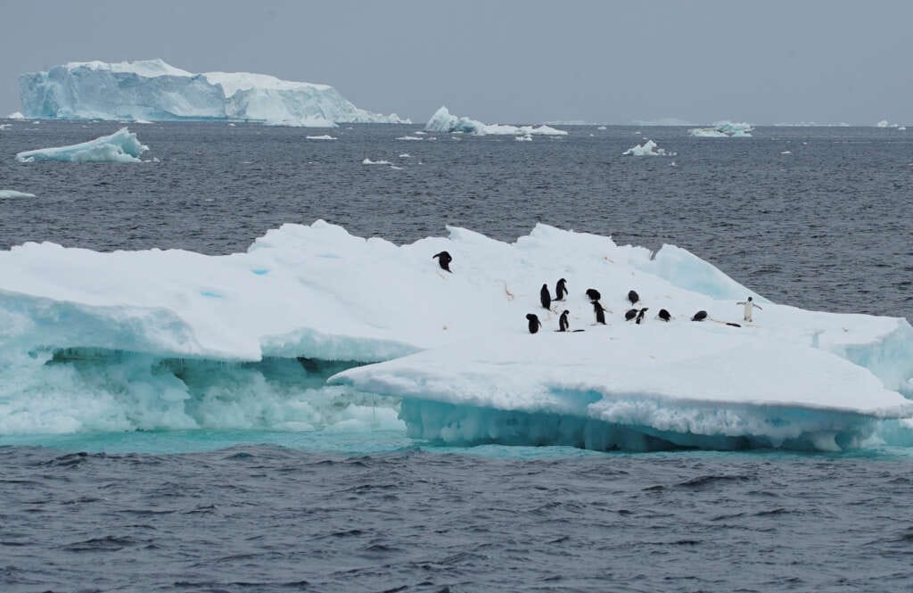 No quick fix to reverse Antarctic sea ice loss as warming intensifies – scientists