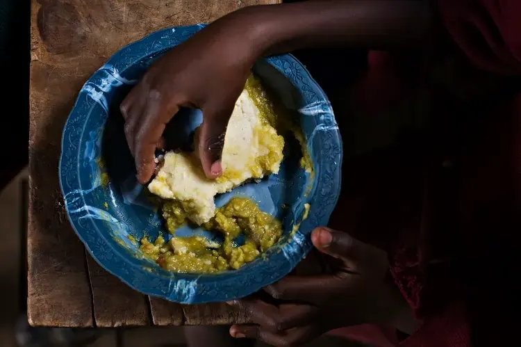 World food price index eases in Dec, pushed lower by sugar