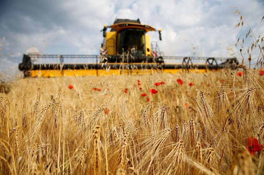 Chinese buyers returned for French barley this month -traders