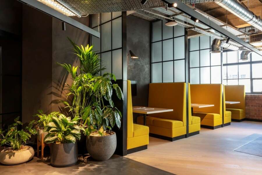 Making a sound choice: BW Workplace Experts looks to Oscar Acoustics to create health-enhancing workplace of the future