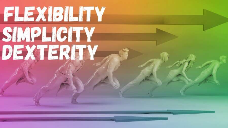 Flexibility, Simplicity and Dexterity: the foundations of success as business moves forward