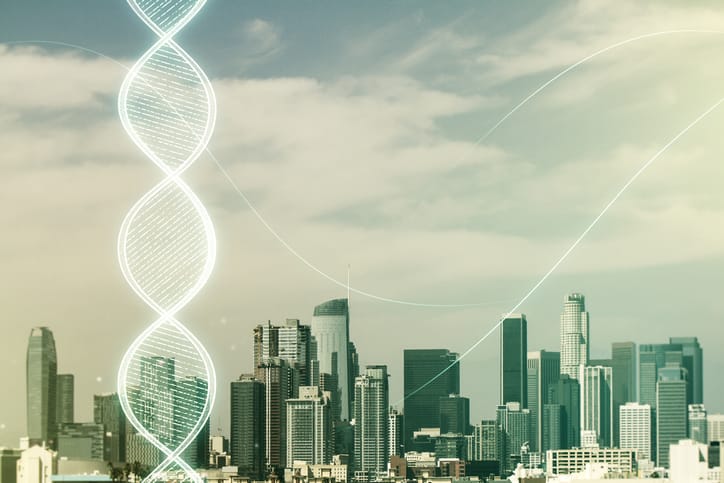 Holiverse Is Real or Fake: How Quantum Tech Becomes Part of Life