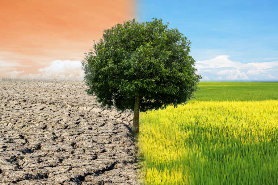 UK Export Finance launches new debt solution to help developing countries with climate shocks