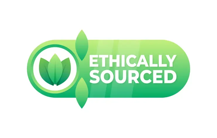 Sourcing ethical products for your business