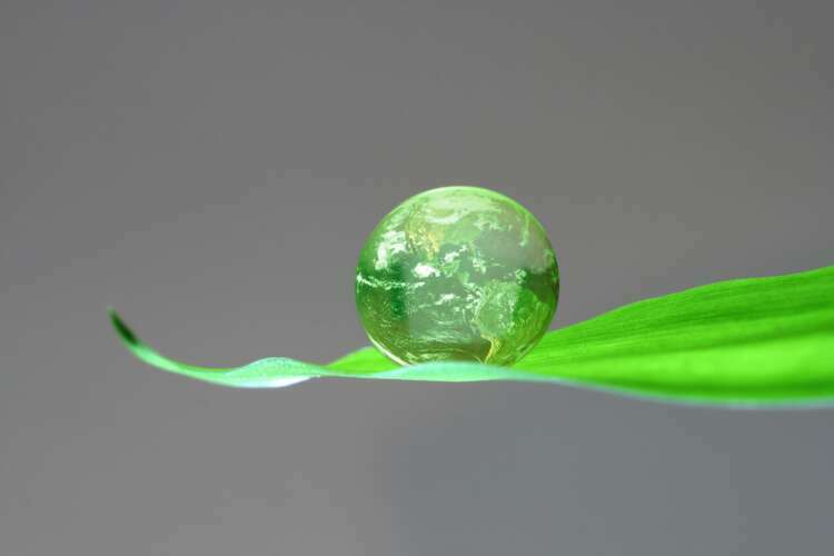 Non-Toxic Cleaning That Takes Climate Change Seriously