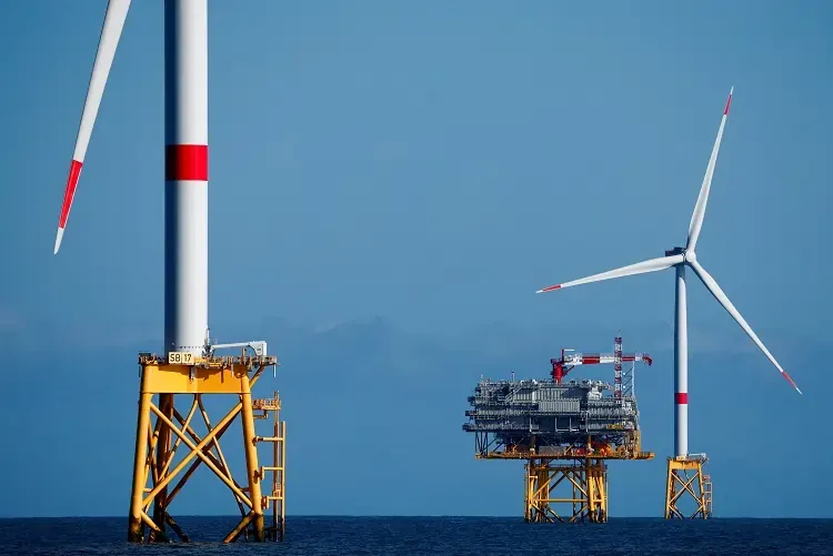 Europe struggling to meet offshore wind targets, industry heads and lawmakers say