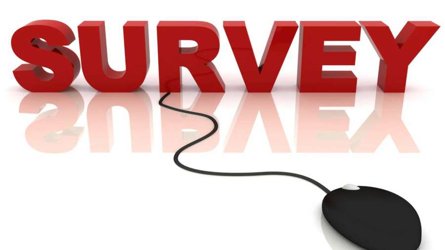 Earn Extra Money With the Help of Internet Surveys