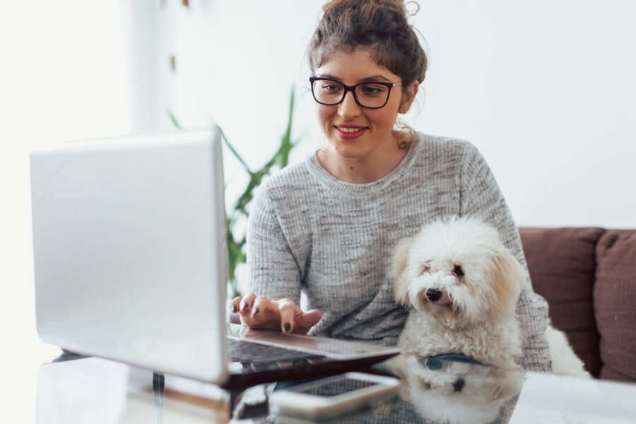 NEW STUDY REVEALS THE BEST DOG-FRIENDLY OFFICE SPACES IN THE UK