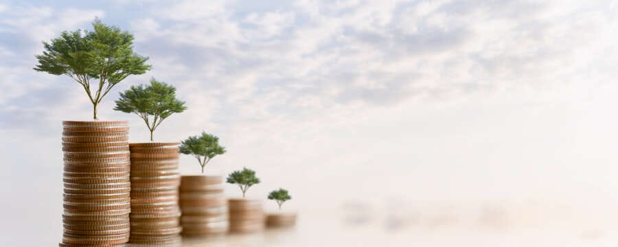 What are mutual funds and how do they work