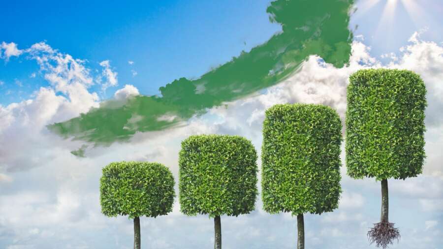 This green investing is a grey area – a study of ESG bond investment
