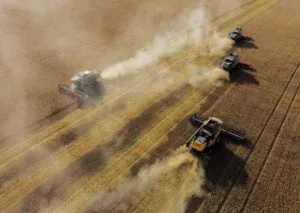 Column-Black Sea grain exports beating early market ideas by substantial degree -Braun