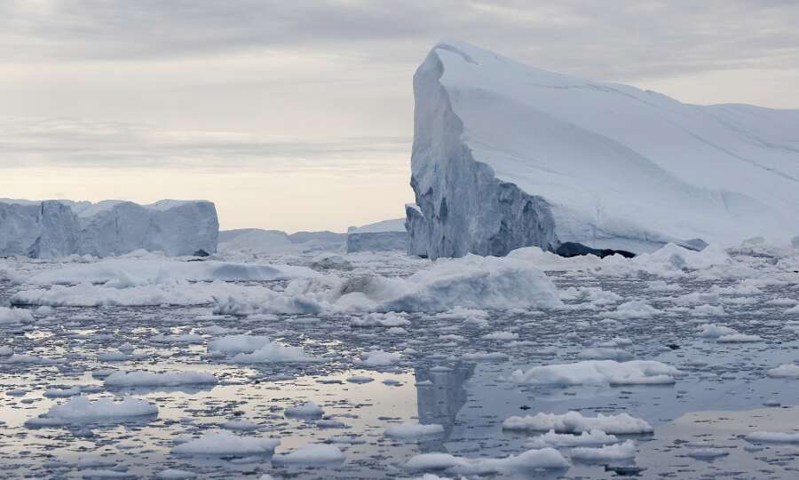 STEPPING UP TO NET ZERO BEFORE IT’S TOO LATE