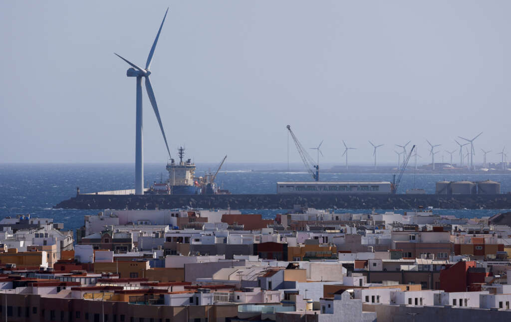 Siemens Gamesa names Luijendijk CEO of onshore wind unit