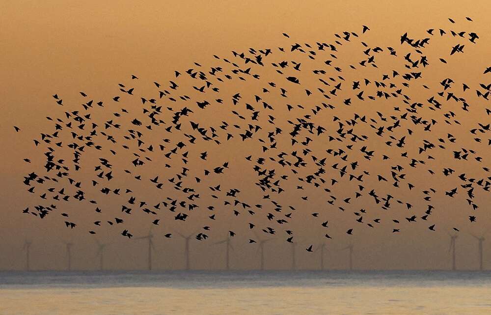 Britain’s tax take risks blowing green energy off target