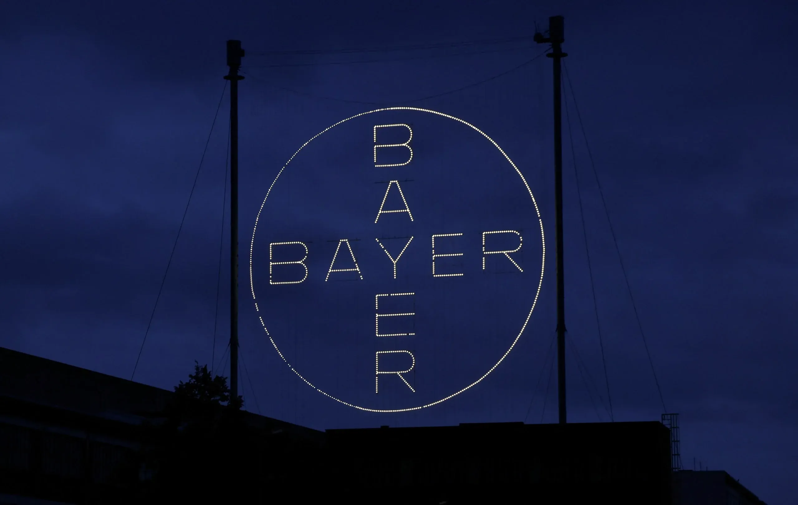 Analysis-Bayer investors weigh need for cash call amid stifling debt