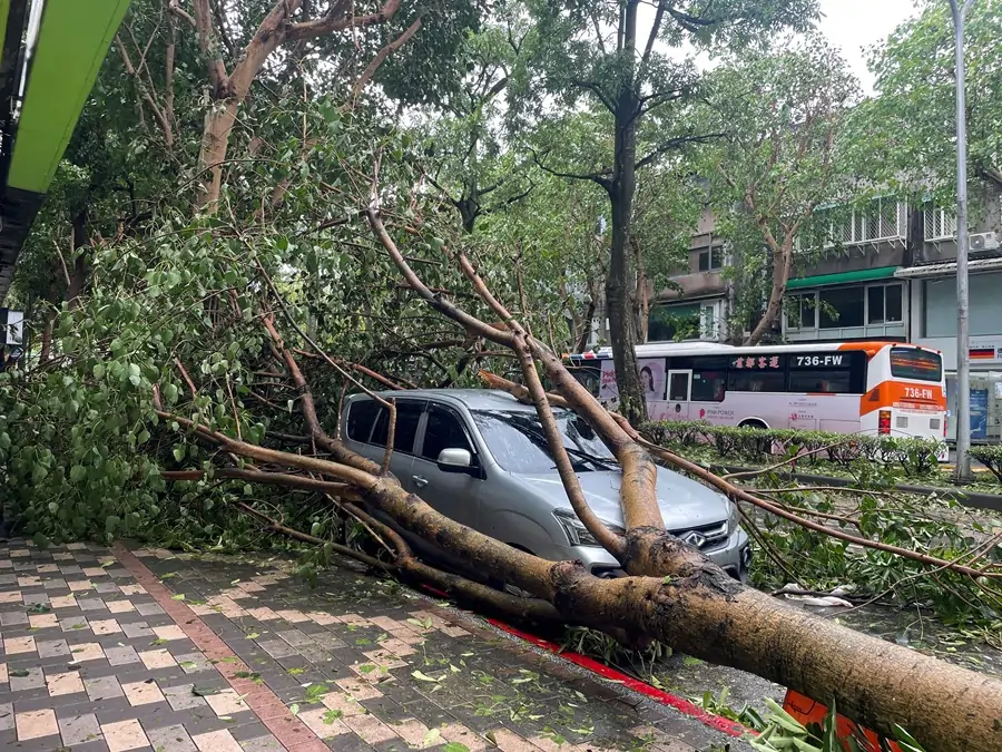 Taiwan cleans up as remnant of Typhoon Kong-rey brushes Chinese coast