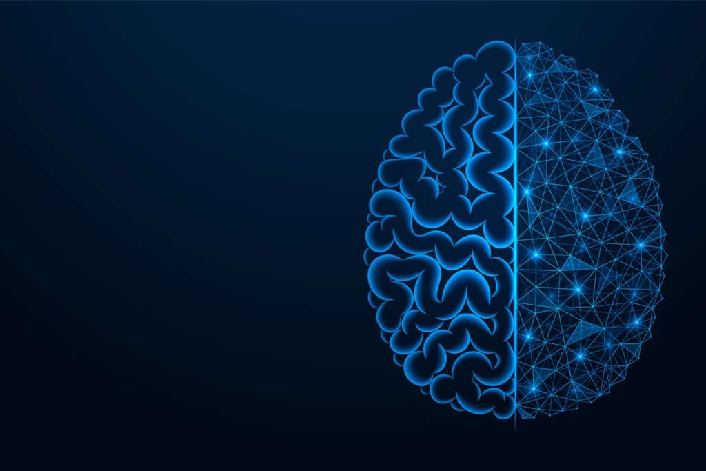 Education Information Warfare