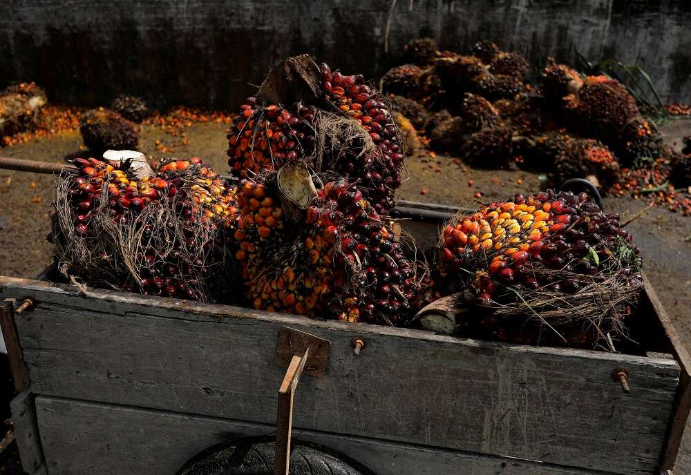 Global food makers, retailers remain in crisis mode