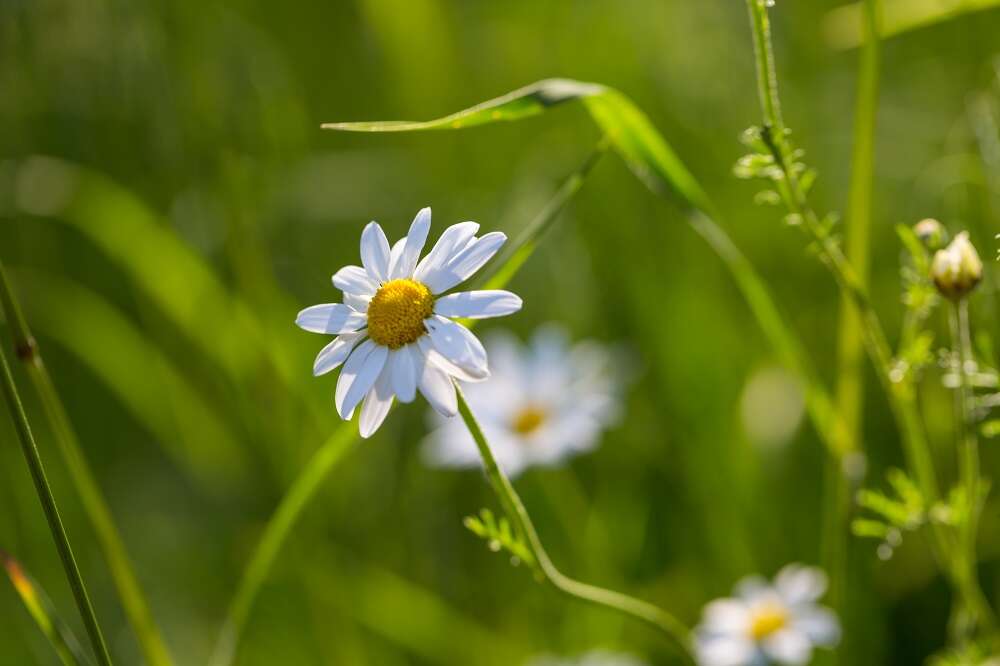 Q&A with Betsy Vickery, Co-Founder of Hope and Story