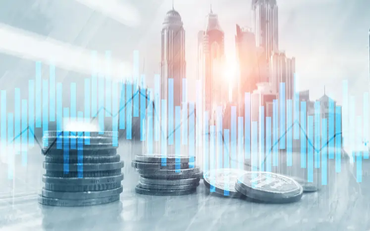 The impact of islamic finance on global economic stability