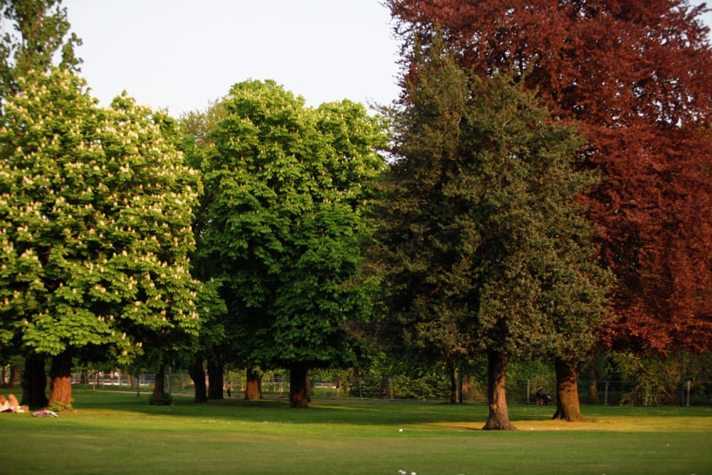 Escape The Concrete Jungle At St Paul’s Square4