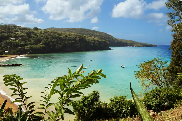 How You Can Improve Your Life with a St Lucian CBI Program