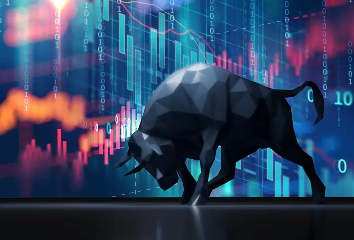 Risk Management Strategies for Bull Market Traders