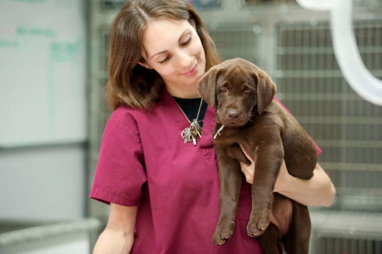 Best paying jobs in miscellaneous