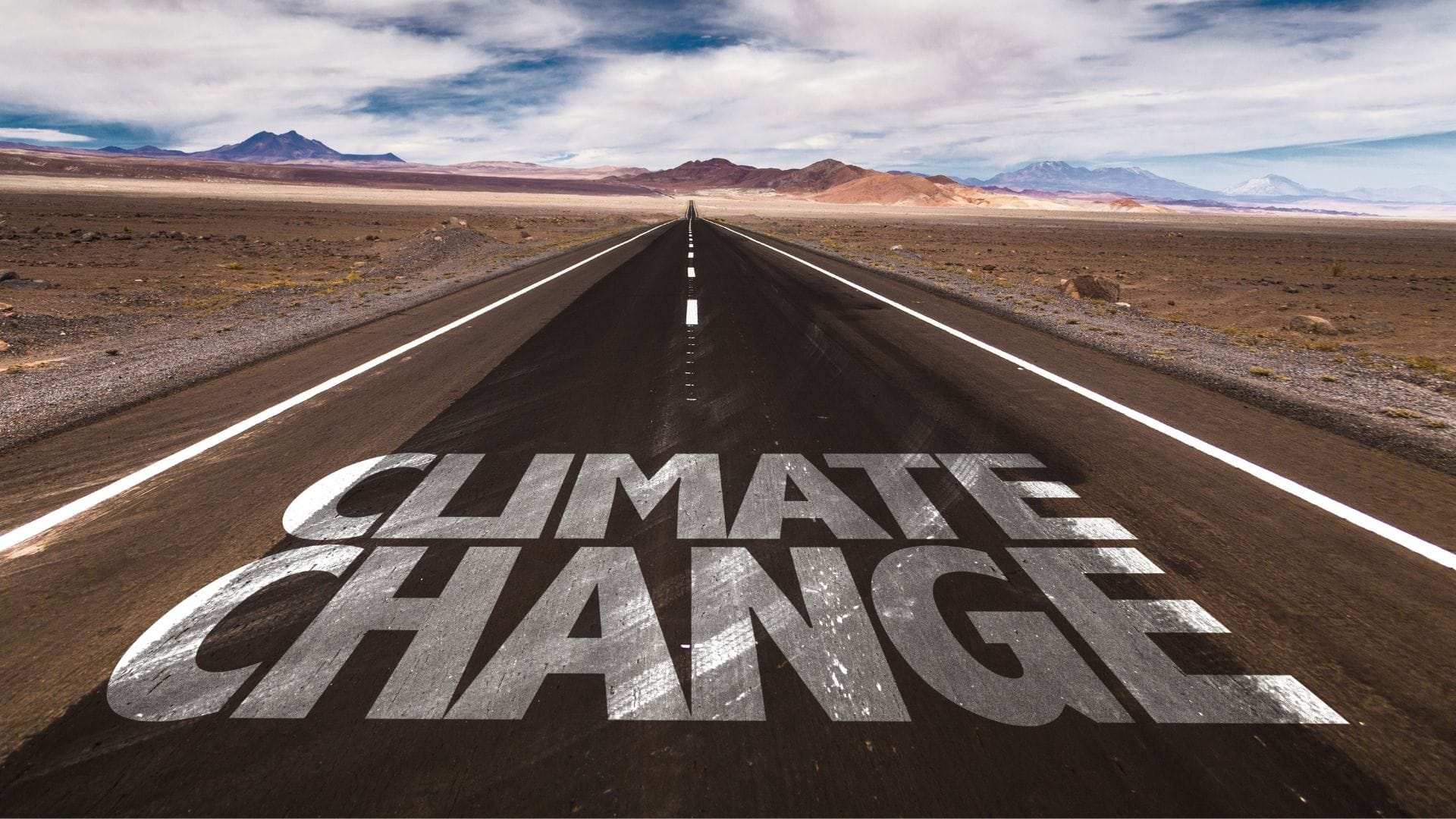 Is Africa being left behind in the push for a net zero world?