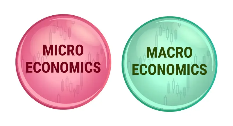 Difference between microeconomics and macroeconomics