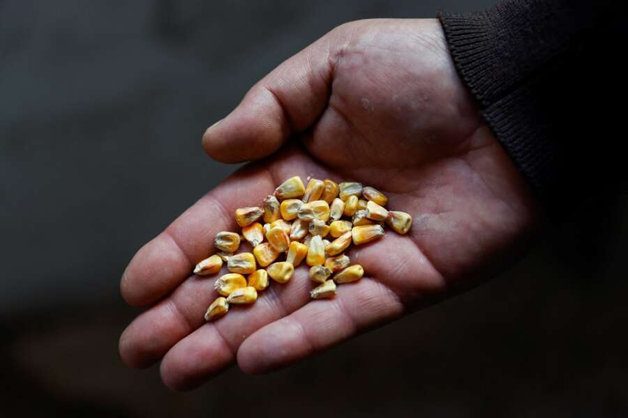 Explainer-Ukraine looks for ways to get its grain out