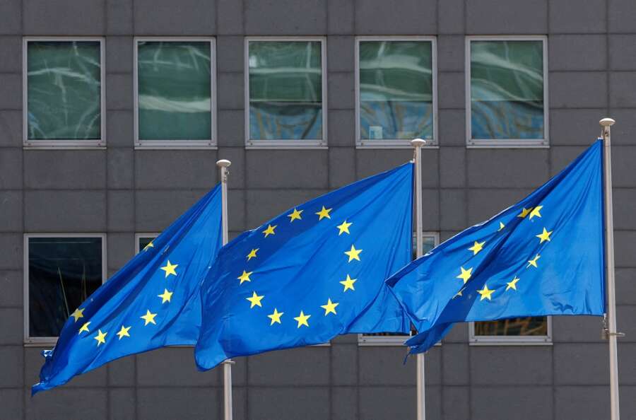 EU watchdog backs ESG ‘quality label’ for market benchmarks