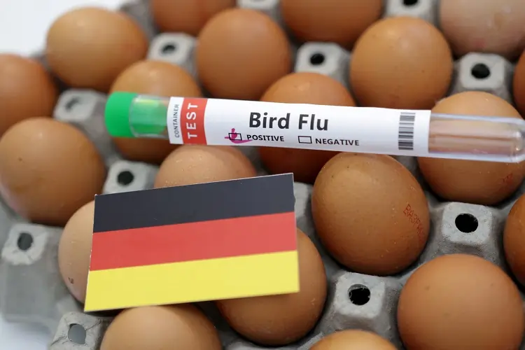 Germany reports outbreak of H5N1 bird flu on a farm