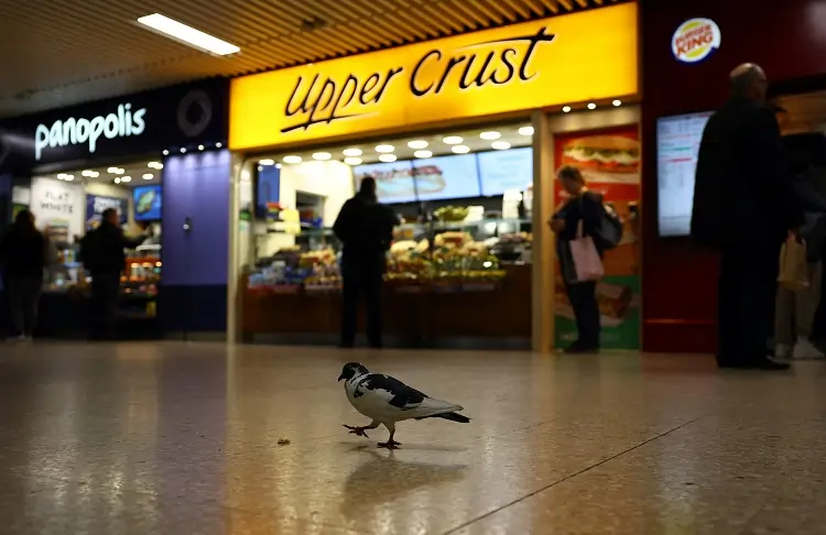 Upper Crust owner SSP plans for Indian IPO of Travel Food Services