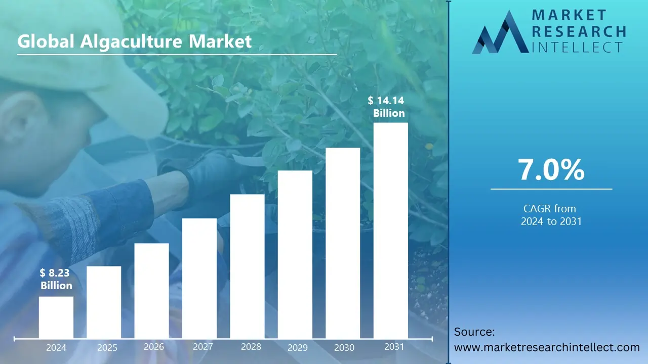 Global Algaculture Market Set to Surge to $14.14 Billion by 2031, Driven by Rising Demand for Sustainable Food and Feed Solutions