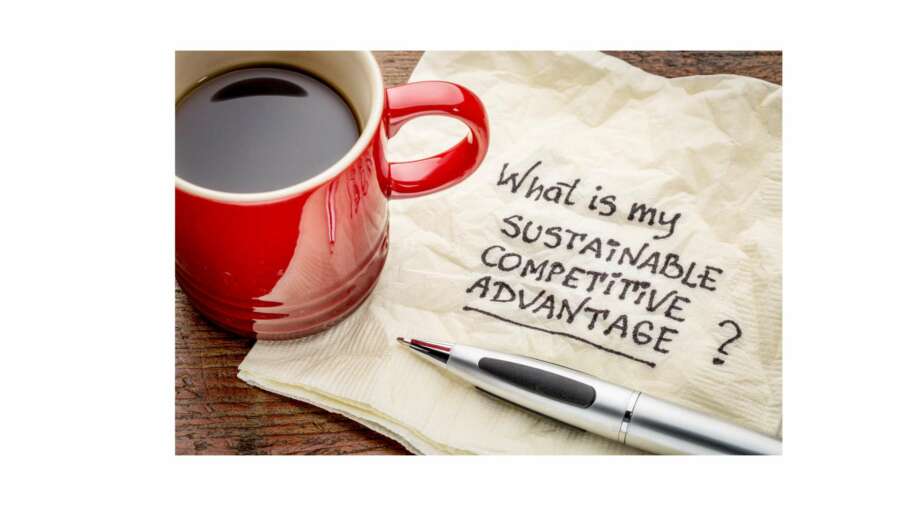 The Importance of Tools for Sustainability in Your Business
